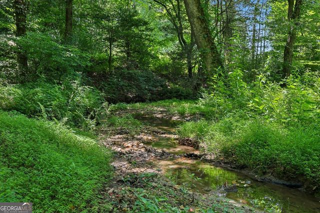 4218 Roy Road, Ellijay, GA 30536