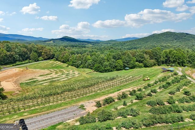 4218 Roy Road, Ellijay, GA 30536