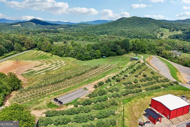 4218 Roy Road, Ellijay, GA 30536