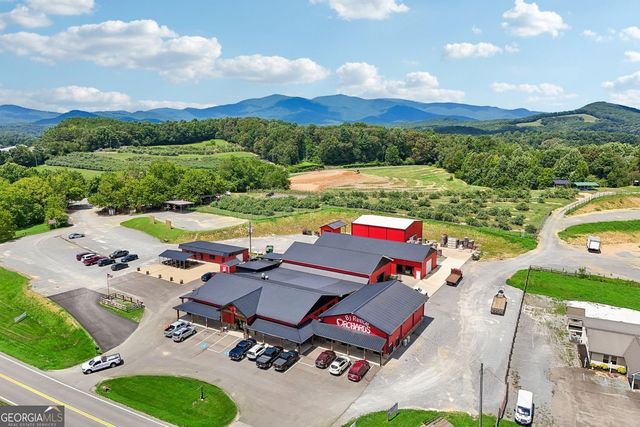 4218 Roy Road, Ellijay, GA 30536