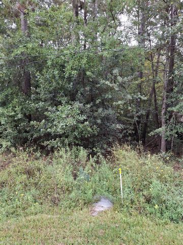 0 County Road 3313, Cleveland, TX 77327