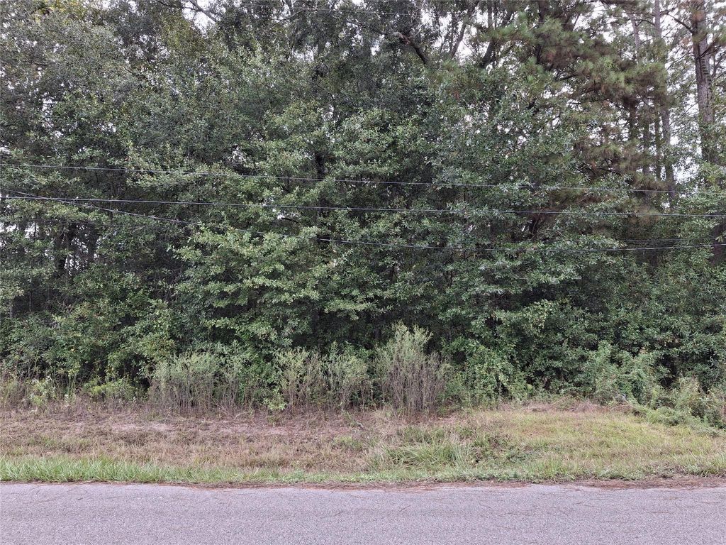 0 County Road 3313, Cleveland, TX 77327