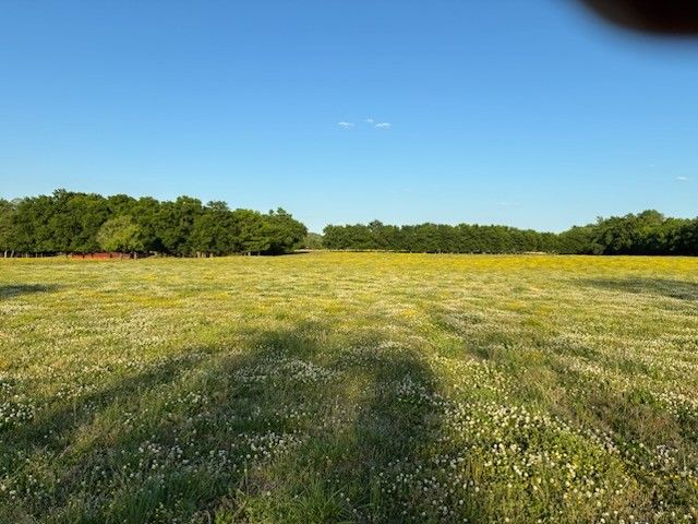 0 Dry Creek Rd, Mount Pleasant, TN 38474
