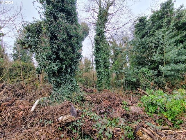 0 Ne Cherry Rd, Vancouver, WA 98661