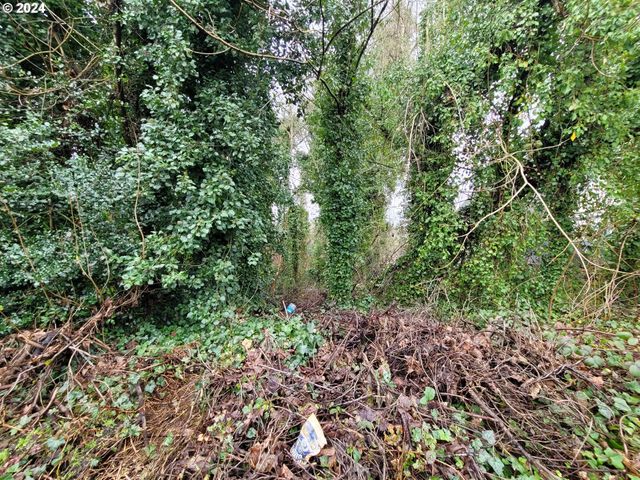 0 Ne Cherry Rd, Vancouver, WA 98661