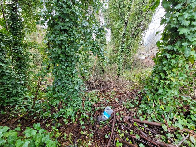 0 Ne Cherry Rd, Vancouver, WA 98661