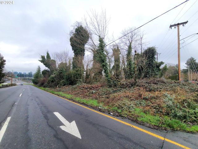 0 Ne Cherry Rd, Vancouver, WA 98661