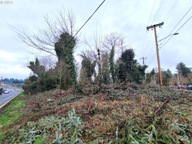 0 Ne Cherry Rd, Vancouver, WA 98661