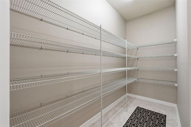 18760 BIRCHWOOD GROVES DRIVE, Lutz, FL 33558