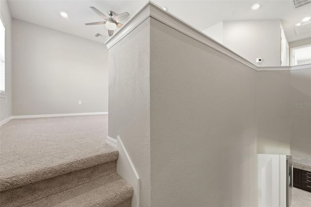 18760 BIRCHWOOD GROVES DRIVE, Lutz, FL 33558