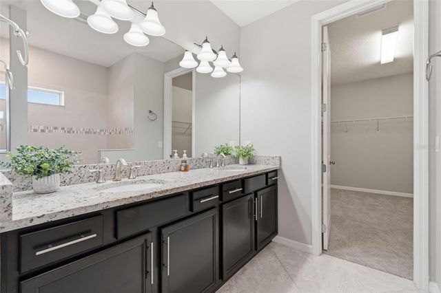 18760 BIRCHWOOD GROVES DRIVE, Lutz, FL 33558