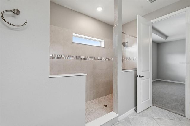 18760 BIRCHWOOD GROVES DRIVE, Lutz, FL 33558