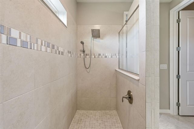 18760 BIRCHWOOD GROVES DRIVE, Lutz, FL 33558