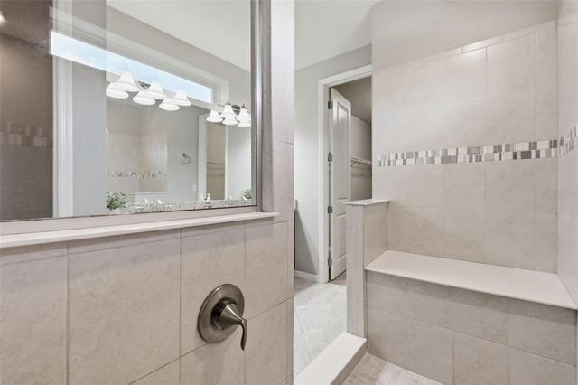 18760 BIRCHWOOD GROVES DRIVE, Lutz, FL 33558