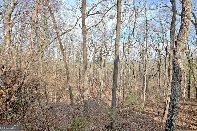 185 Royal Lodge Circle, Warm Springs, GA 31830