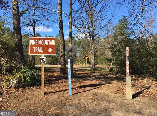 185 Royal Lodge Circle, Warm Springs, GA 31830