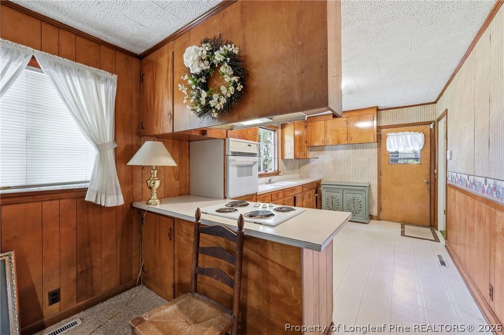3993 McArthur Road, Broadway, NC 27505 — photo 11
