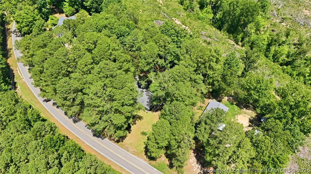 3993 McArthur Road, Broadway, NC 27505 — photo 4