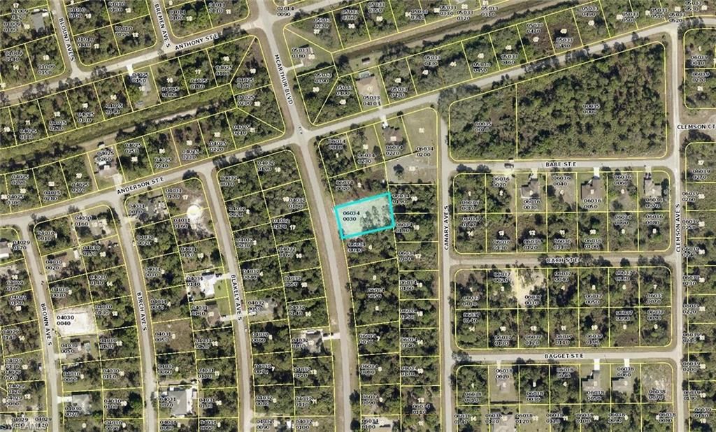 165 McArthur BLVD, LEHIGH ACRES, FL 33974 — photo 3