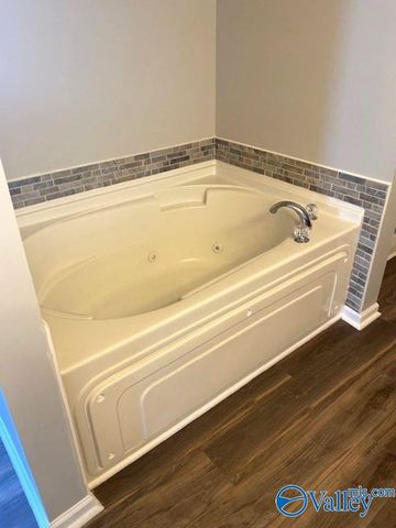 222 Silver Breeze Court, Harvest, AL 35749