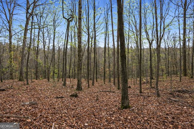 2315 Stonepile Road LOT 4, Clarkesville, GA 30523