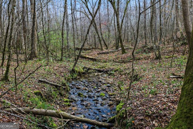 2315 Stonepile Road LOT 4, Clarkesville, GA 30523