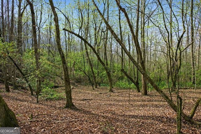 2315 Stonepile Road LOT 4, Clarkesville, GA 30523