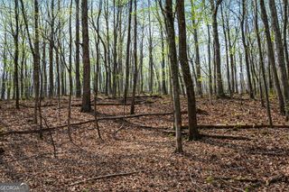 2315 Stonepile Road LOT 4, Clarkesville, GA 30523