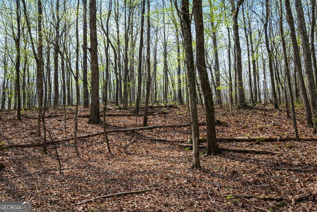 2315 Stonepile Road LOT 4, Clarkesville, GA 30523