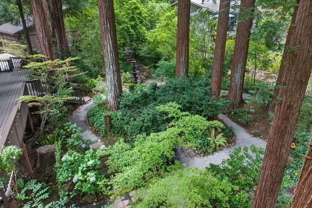 15551 Forest Hill Drive, Boulder Creek, CA 95006