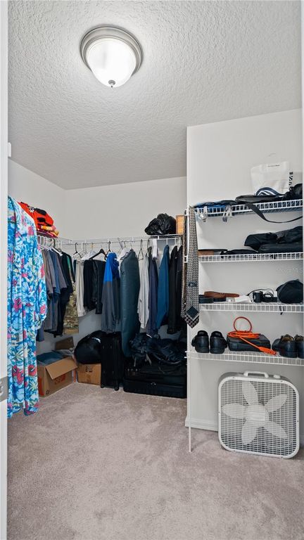 Image 20 of property listing at 8113 RED STOPPER LANE, Winter Garden, FL 34787