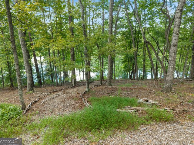 501 High Meadow Lakes Rd, Clarkesville, GA 30523
