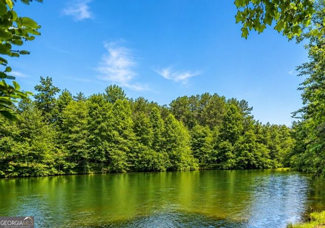 501 High Meadow Lakes Rd, Clarkesville, GA 30523
