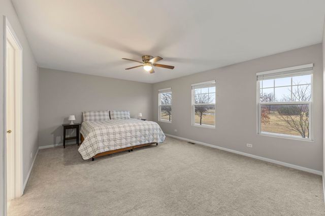 12814 Grande Poplar Circle, Plainfield, IL 60585