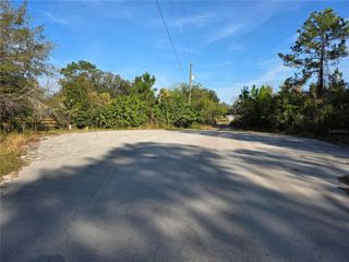 11975 BACKLAND PATH, Polk City, FL 33868