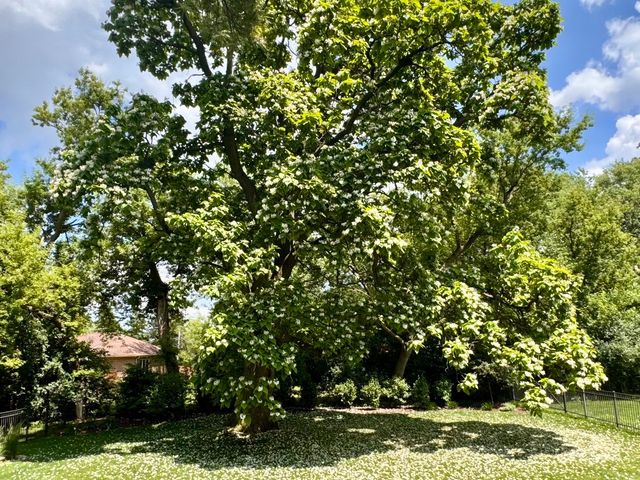 361 S Quentin Road, Palatine, IL 60067