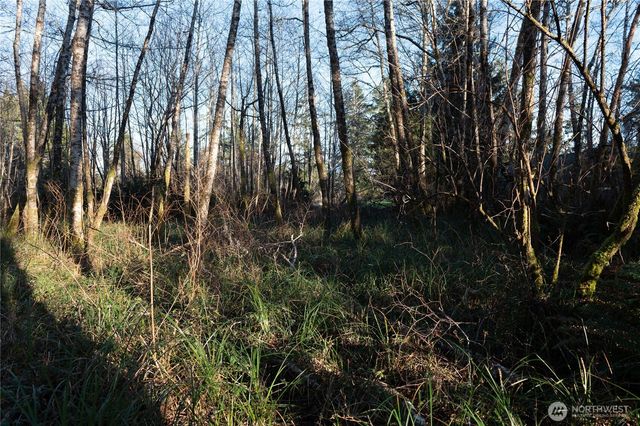 0 W Newell Avenue, Westport, WA 98595