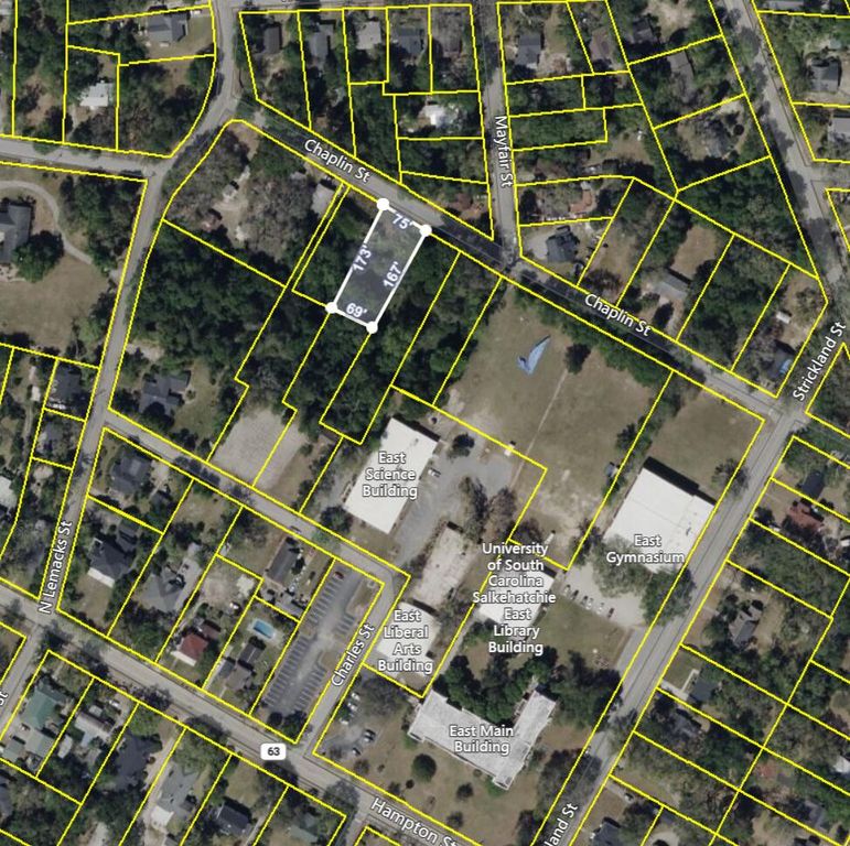 306 Chaplin Street, Walterboro, SC 29488