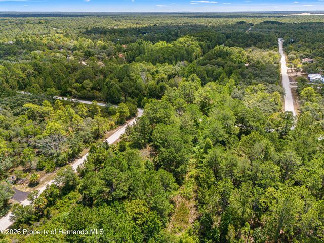 0 Ramsey Road, Brooksville, FL 34614