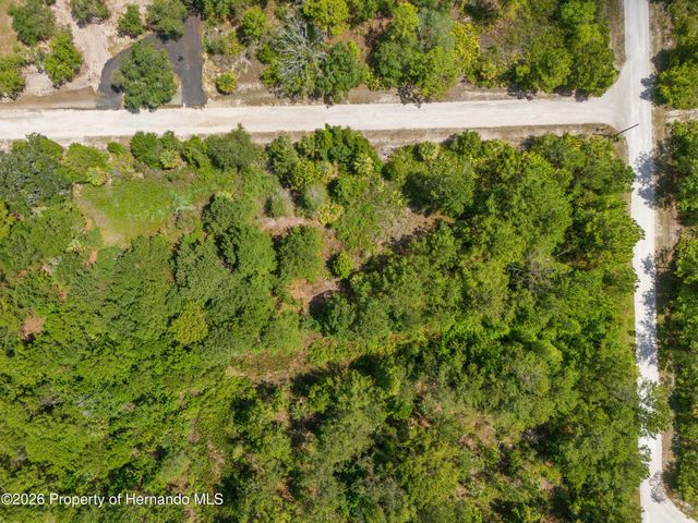 0 Ramsey Road, Brooksville, FL 34614