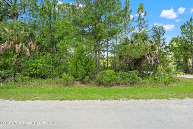 0 Ramsey Road, Brooksville, FL 34614