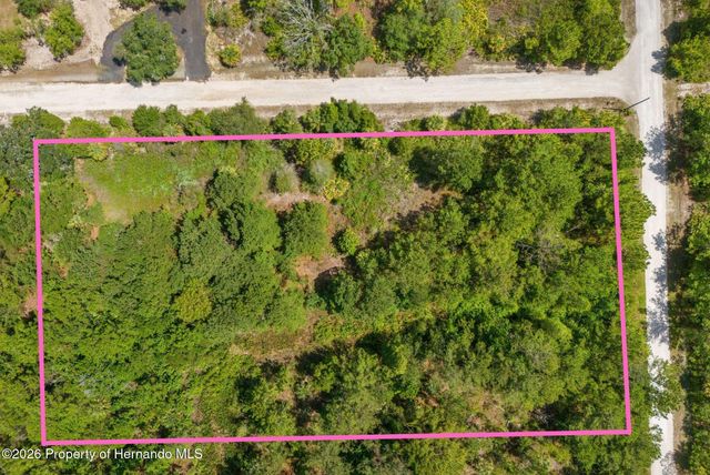 0 Ramsey Road, Brooksville, FL 34614