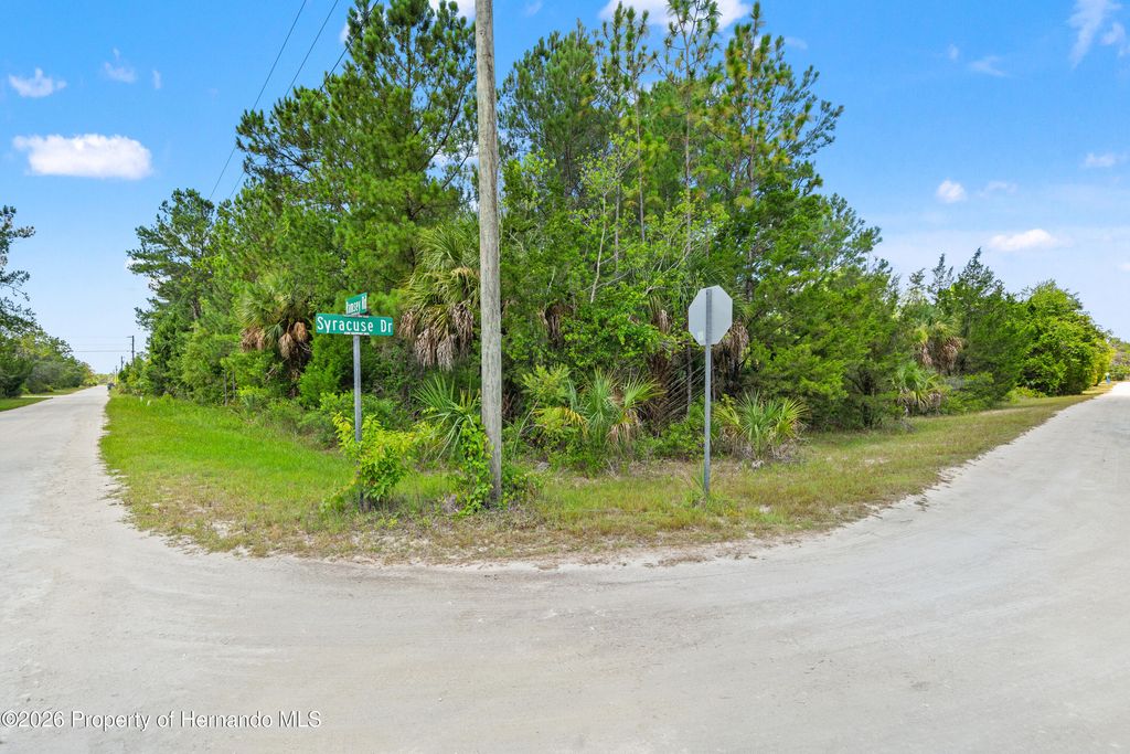 0 Ramsey Road, Brooksville, FL 34614