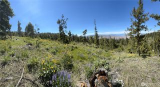 0 XX Melvin Road, Waterville, WA 98858