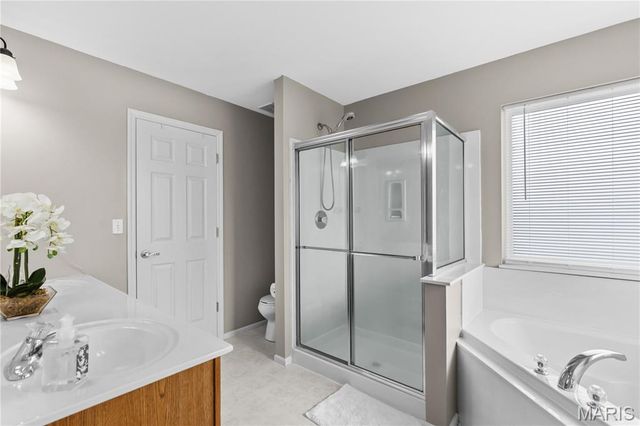 602 Autumn Creek Drive, Wentzville, MO 63385