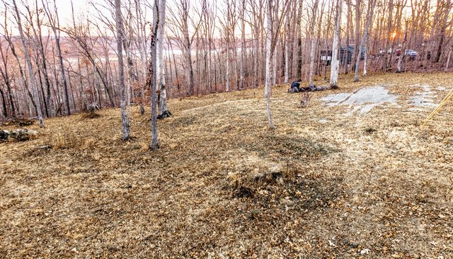 372 Cheree Loop, Stewart, TN 37175