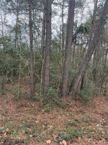 TBD Whippoorwill Lane, Point Blank, TX 77364