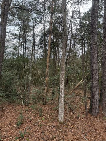 TBD Whippoorwill Lane, Point Blank, TX 77364