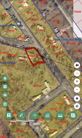 TBD Whippoorwill Lane, Point Blank, TX 77364