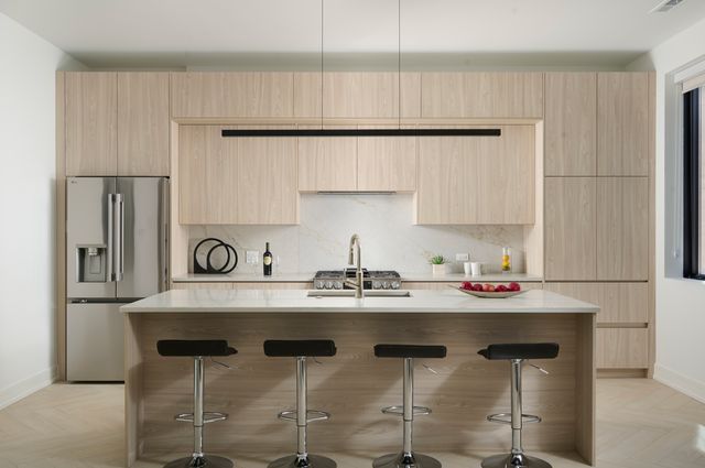 1500 N Wieland Street 2W, Chicago, IL 60610